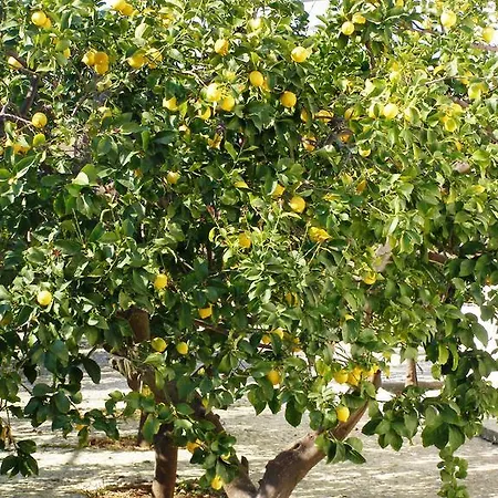 Casa Limoni Nyaraló Peschici