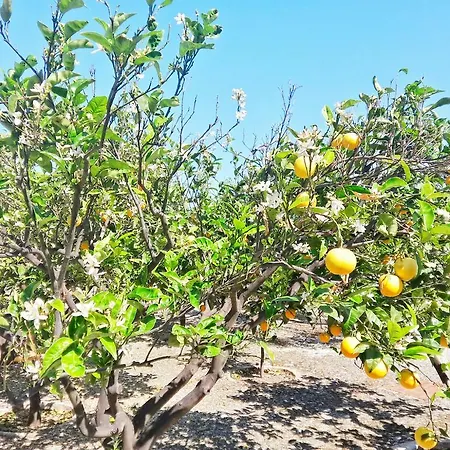 Casa Limoni *